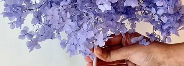 Wholesale Dried Hydrangeas - Huge Selection, Great Prices