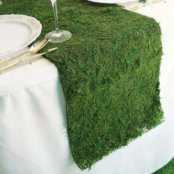 Where to Buy Top-Quality Preserved Moss - Expert Picks