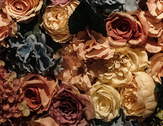 Top 10 Real Preserved Roses Gifts That Last Forever