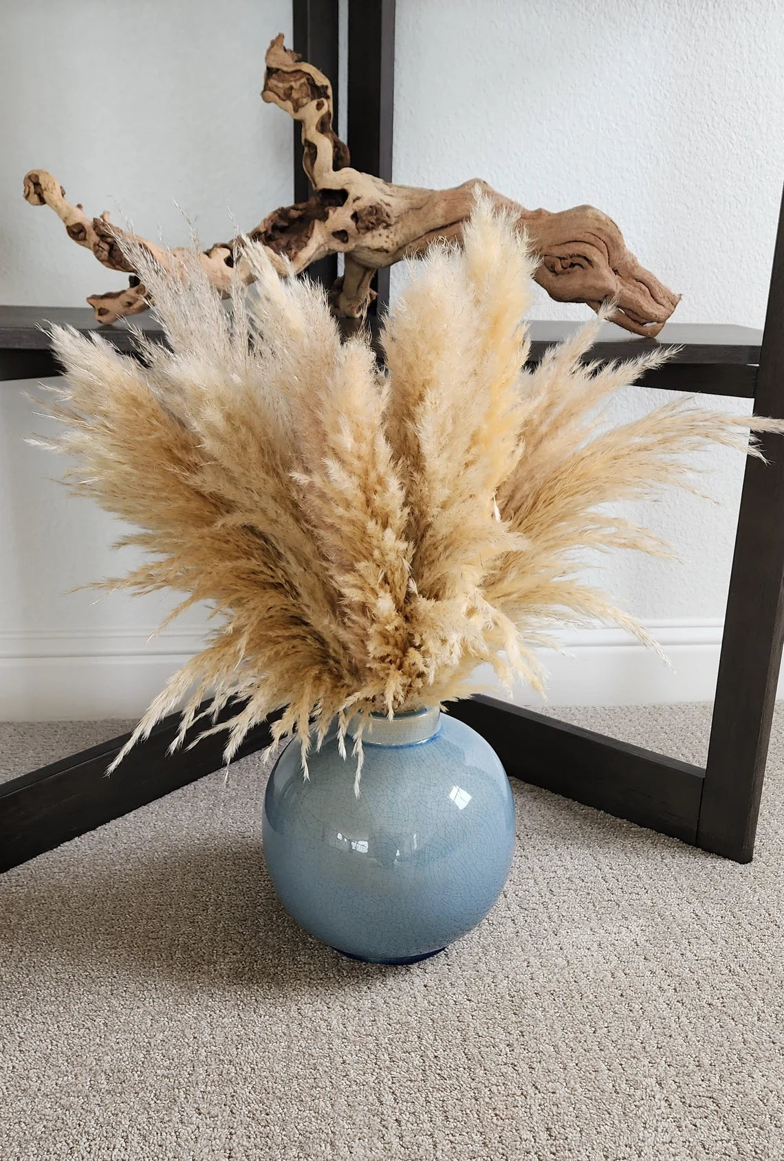 Dried Large Pampas Grass