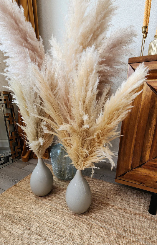 Dried Large Pampas Grass